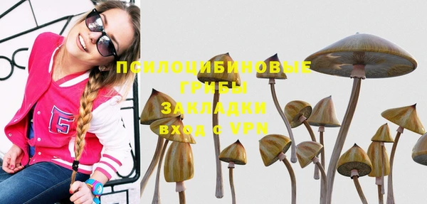 метадон Саяногорск