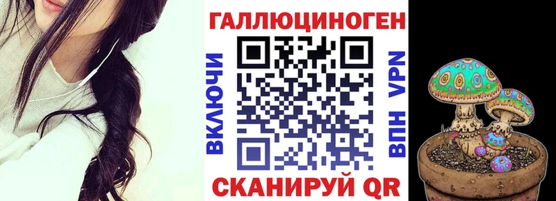 Галлюциногенные грибы Psilocybe  МЕГА ССЫЛКА  Сурск 